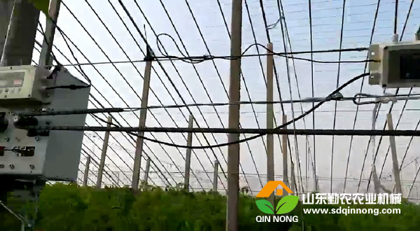 勤农公司大棚智能放风机让大棚蔬菜大丰收